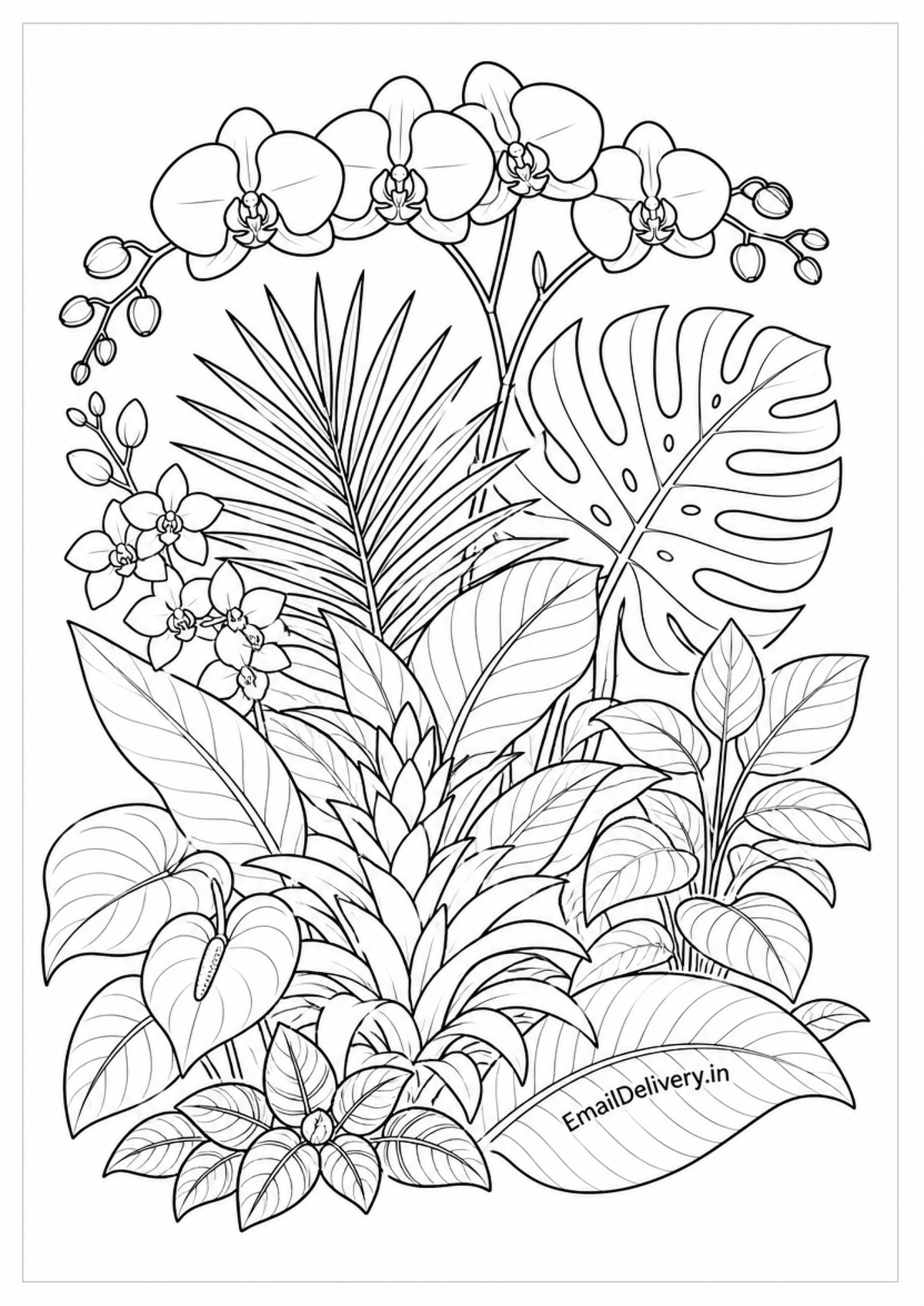 monstera coloring page