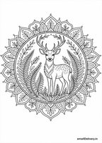 Majestic Animal Mandalas coloring book