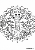 Majestic Animal Mandalas coloring book