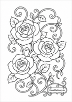  three roses with swirling vine details on a white background