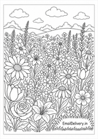 wildflower meadow with daisies